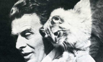 Tüylü Hikâye: Yazarlar ve Kediler Hakkındaki Esrarlı Gerçekler